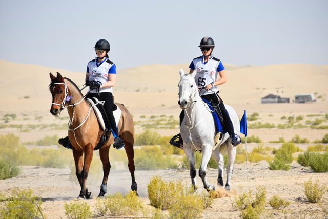 Boutheeb desert.jpeg (85 KB)